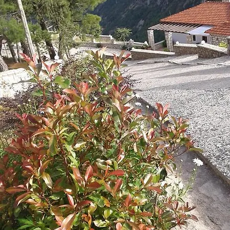 Elova Zátouna