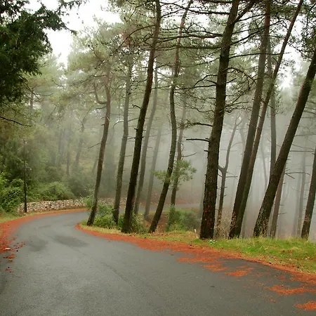 Elova Gæstehus Zátouna